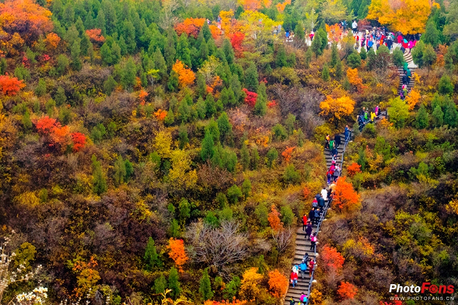 佳能eos800d摄影视频,相机初学者推荐佳能800d