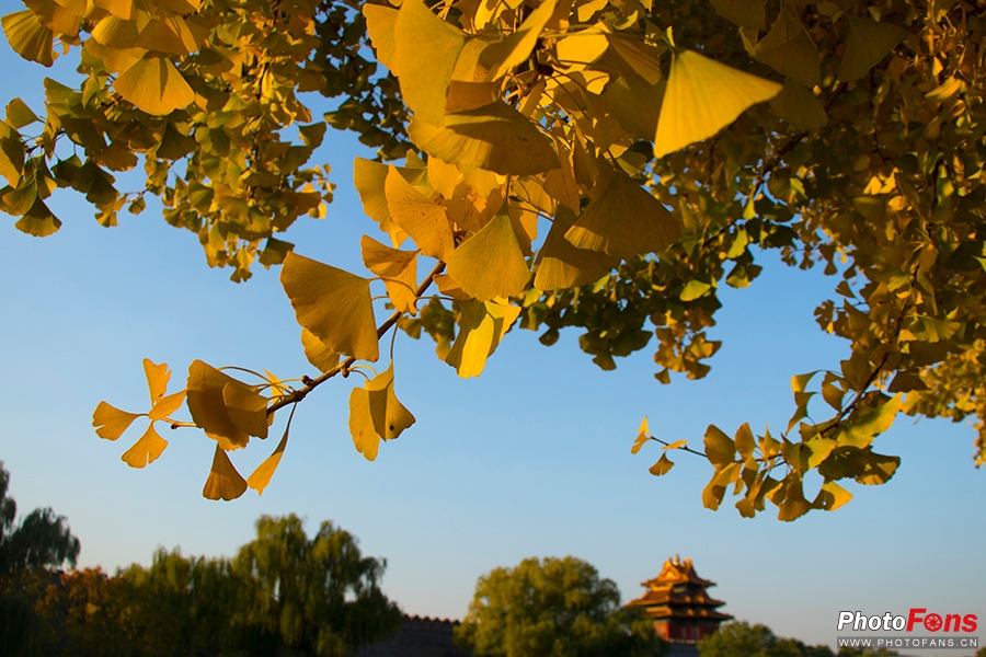 佳能eos800d摄影视频,相机初学者推荐佳能800d