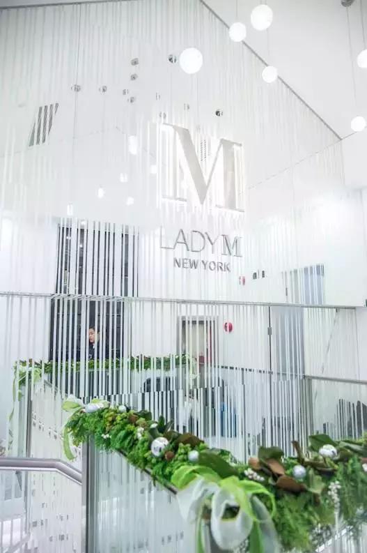 ladym现在改成什么牌子了,ladym美国店铺