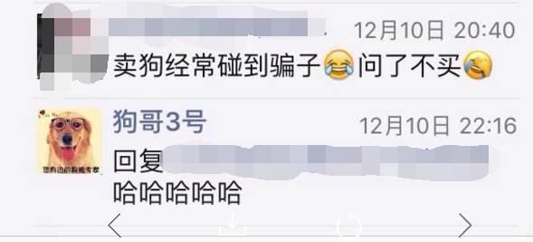 宠物爱心骗局新套路,宠物圈骗局大揭秘