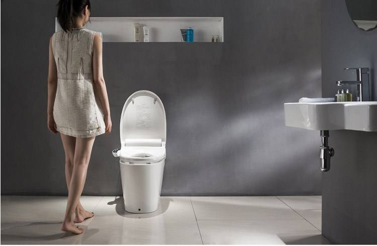 国内十大智能马桶盖品牌排行榜,最新智能马桶盖十大品牌排名