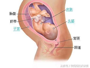 婴儿发育标准对照表0到36个月,怀孕36天宝宝的发育视频