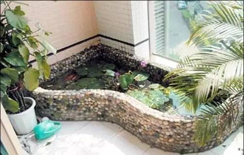 蚊子防蚊措施,强降雨过后如何防蚊灭蚊