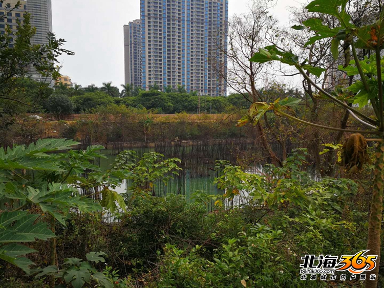 深度探秘：北海十大经典烂尾楼盘之前世今生