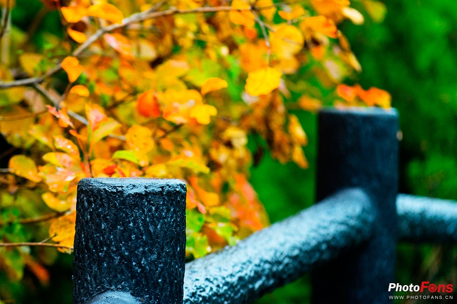 佳能eos800d摄影视频,相机初学者推荐佳能800d