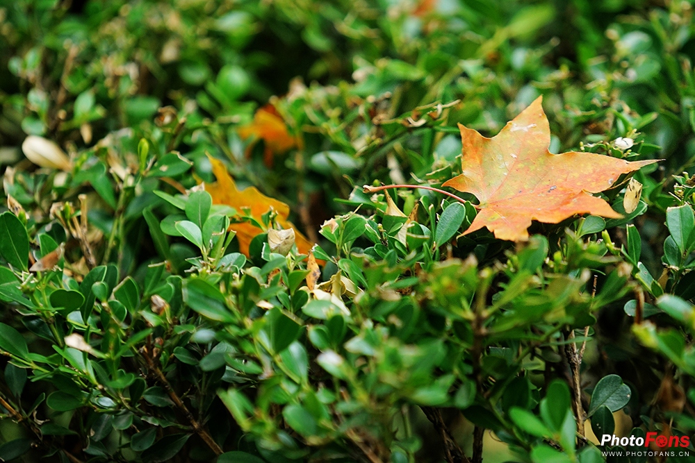 佳能eos800d摄影视频,相机初学者推荐佳能800d