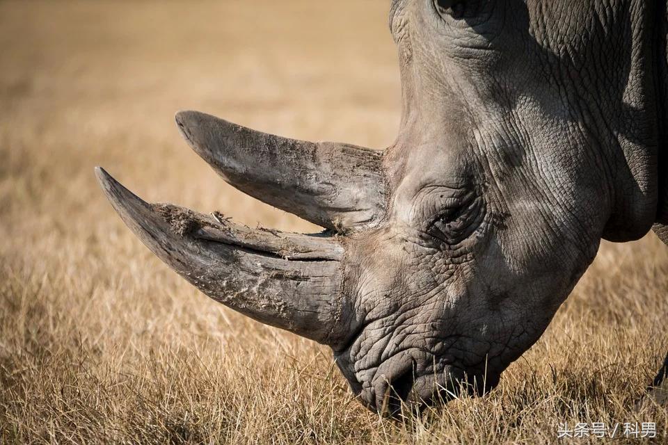 3d最新防伪技术,3d工艺为什么很受欢迎