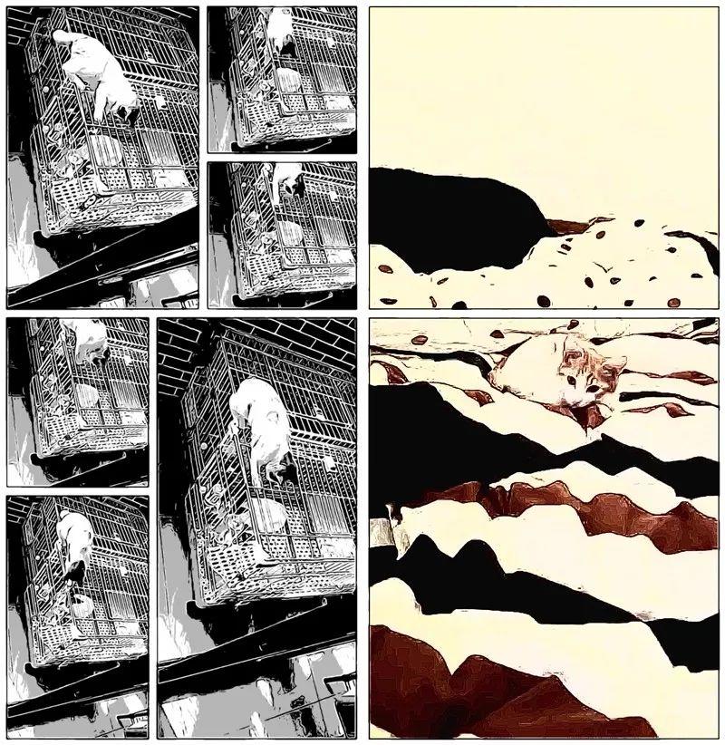 谷歌有什么有趣的软件,谷歌有什么实用软件