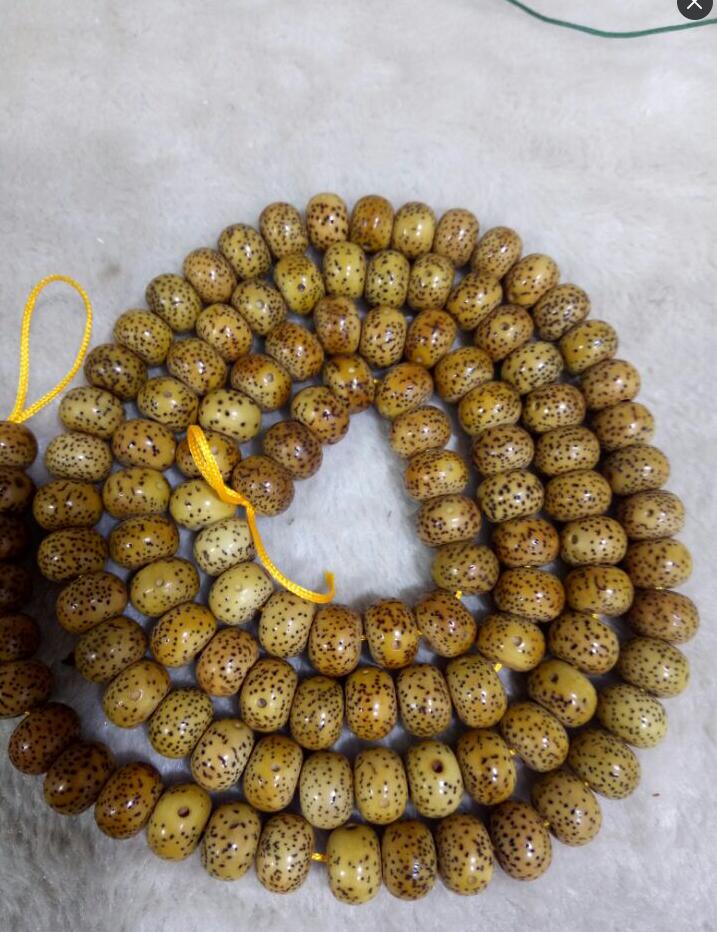 星月菩提手串的收藏,天津星月菩提养护