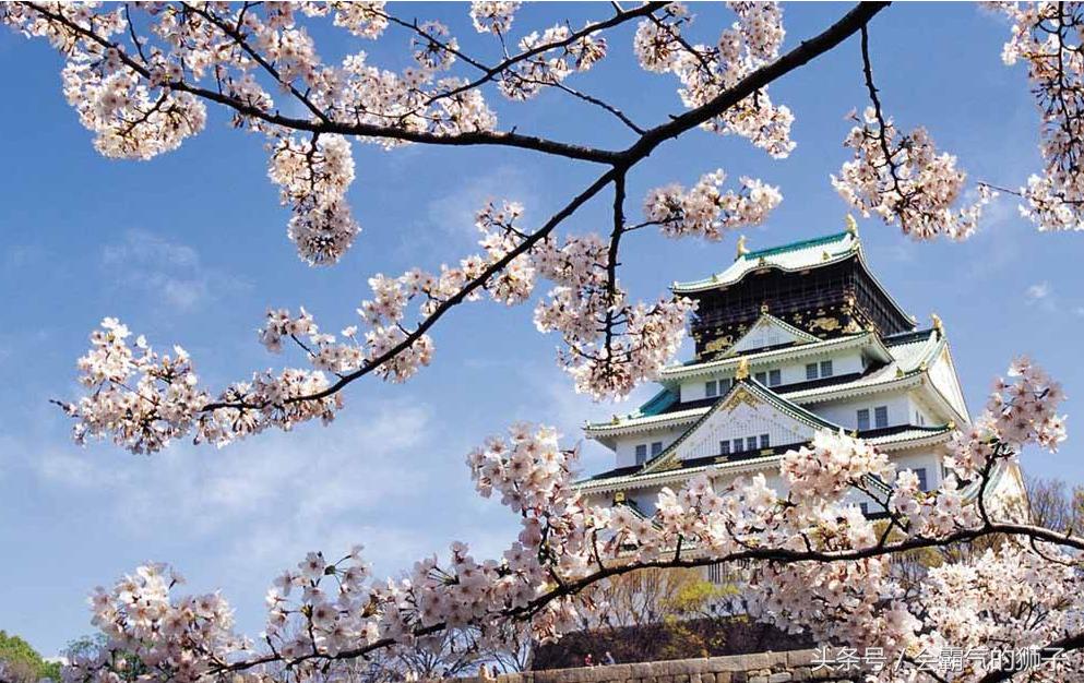 日本乐天海淘攻略,海淘购物购买攻略