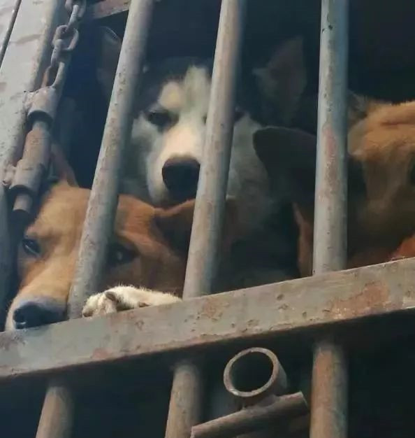 在你眼里再好的东西都是一文不值,在你眼里一文不值在别人眼里是宝