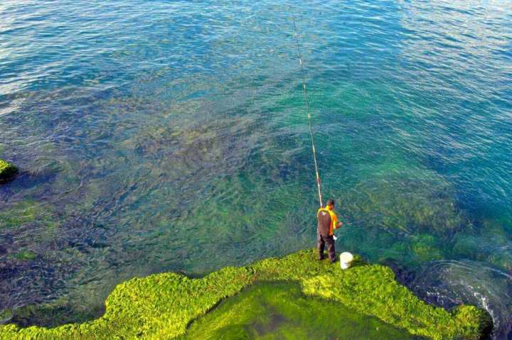 不需要签证就可以去的国家,有哪些小众国家不用签证