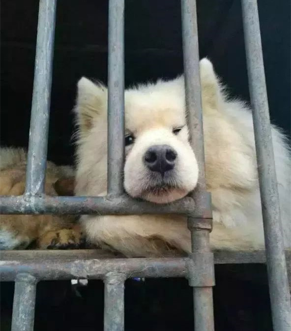 在你眼里再好的东西都是一文不值,在你眼里一文不值在别人眼里是宝