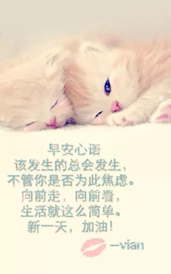 微商早安心语正能量一句话简短,早安微商励志正能量简短句子