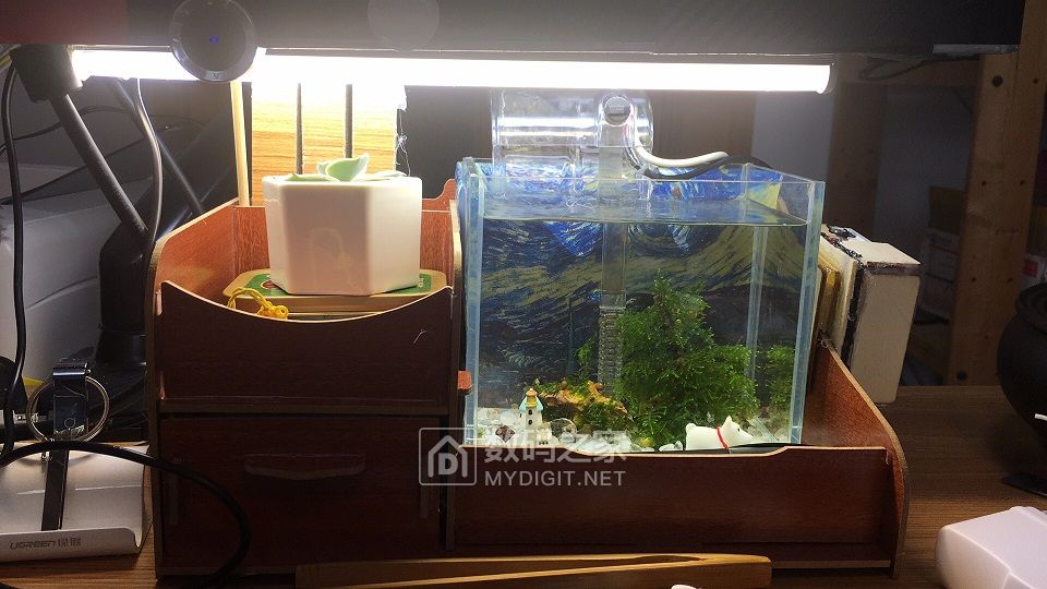 鱼缸自制加热器的制作方法,自制鱼缸恒温加热