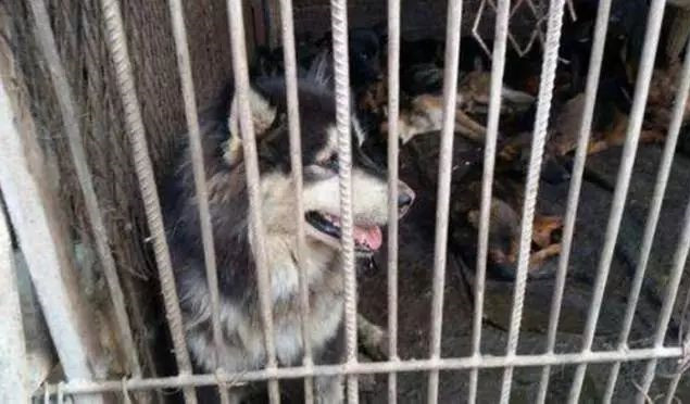 在你眼里再好的东西都是一文不值,在你眼里一文不值在别人眼里是宝