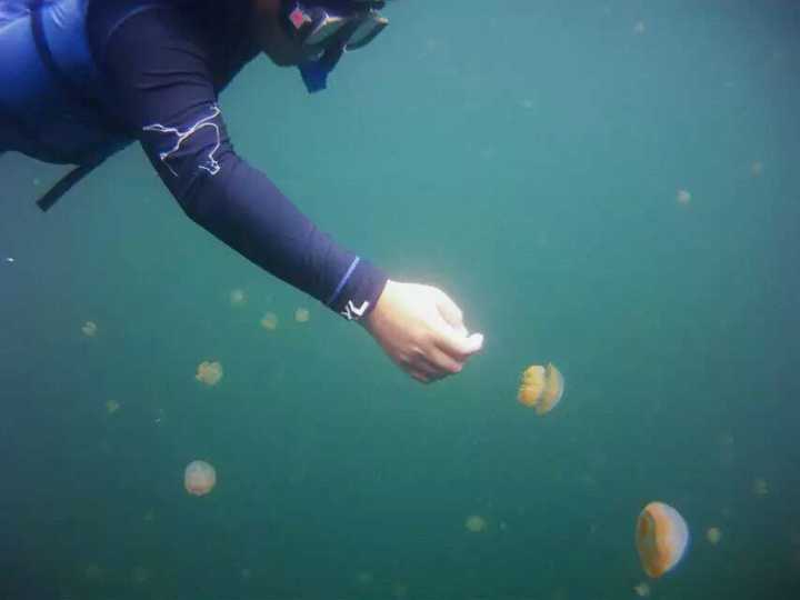 不需要签证就可以去的国家,有哪些小众国家不用签证