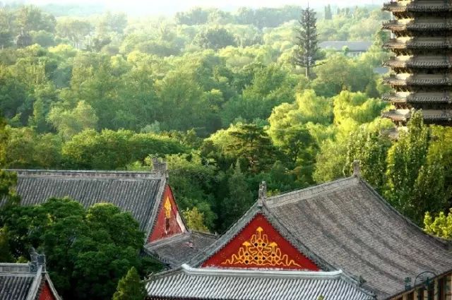 名人读书故事成语,历史故事四字词语成语大全