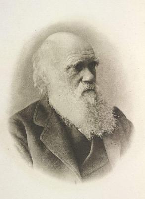 动物学中动物的进化历程,动物进化的历程是什么