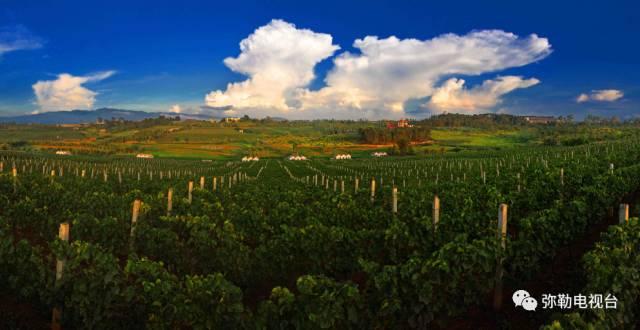 弥勒市旅游必去景点弥勒特点美食,云南弥勒美食百年老店