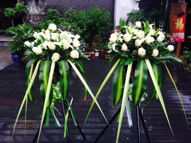 在贵州做个花房姑娘，打发慵懒时光！