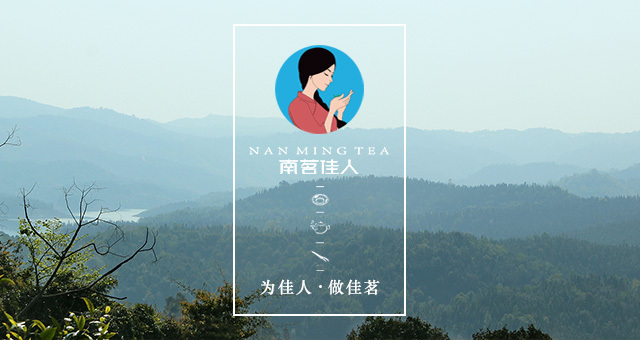 普洱茶的基础知识有哪些,了解普洱茶的基本知识是什么