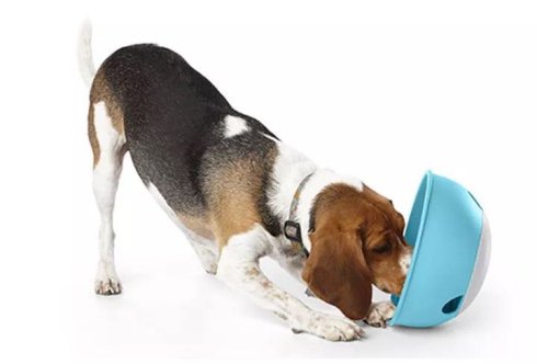 武汉联合动物医院收费贵吗,武汉联合动物医院是24小时看病吗