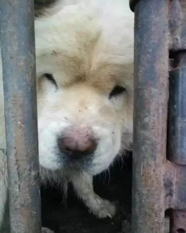 在你眼里再好的东西都是一文不值,在你眼里一文不值在别人眼里是宝