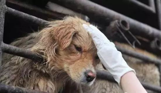 在你眼里再好的东西都是一文不值,在你眼里一文不值在别人眼里是宝