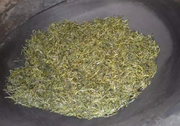 普洱茶的基础知识有哪些,了解普洱茶的基本知识是什么