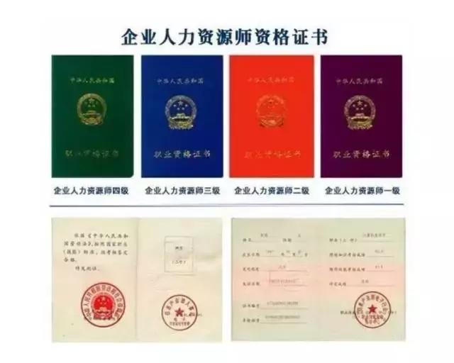 高薪职业必备证书你值得报考,改行容易上手且含金量很高的证书