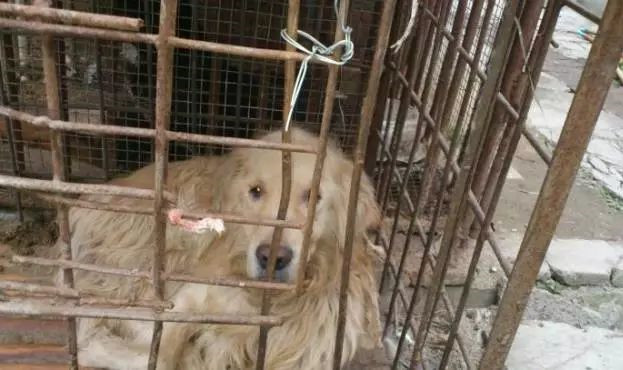 在你眼里再好的东西都是一文不值,在你眼里一文不值在别人眼里是宝