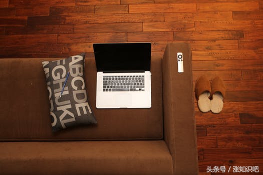 花卉除甲醛的最佳方法,什么绿植去除甲醛效果最好又好养