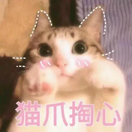 户外婚礼新郎创意出场方式,创意婚礼新郎出场方式有哪些