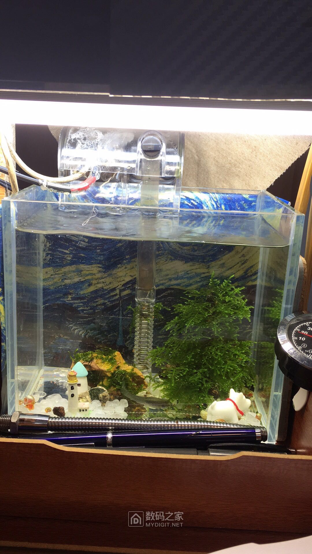 鱼缸自制加热器的制作方法,自制鱼缸恒温加热