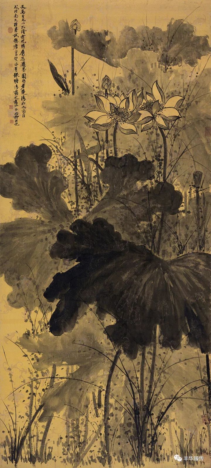 中国嘉德藏家回忆展,中国嘉德拍卖会过亿