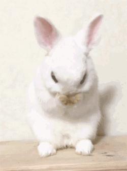 含有激素的护肤品用了有什么后果,大人千万不要用儿童版护肤品