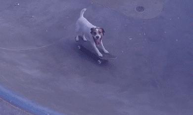 奔富和拉菲齐名吗,奔富与拉菲齐名