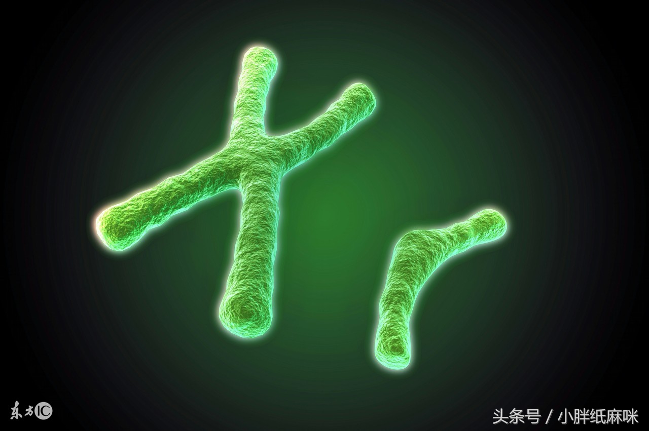 唐氏筛查无创dna和羊水穿刺哪个好,nt3.3做无创dna还是羊水穿刺