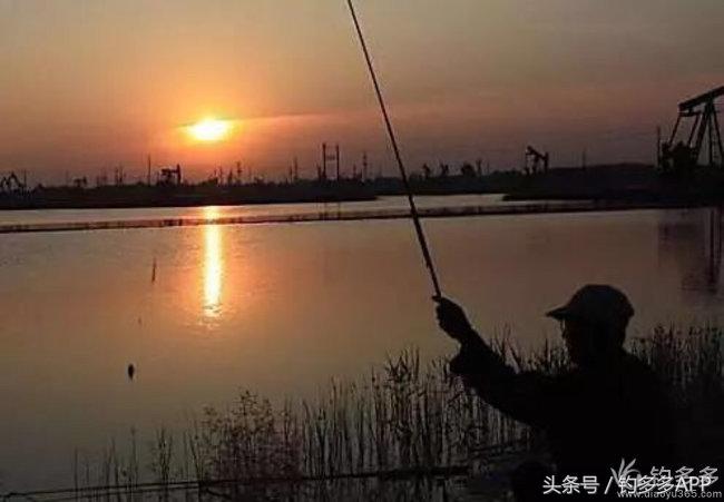 新手钓鱼一学就会,学钓鱼没点狠劲还真不行