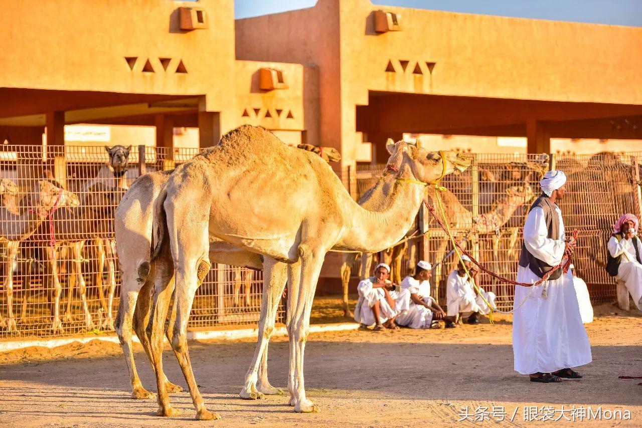 阿布扎比是一个什么样国家,阿布扎比是个什么样的国家