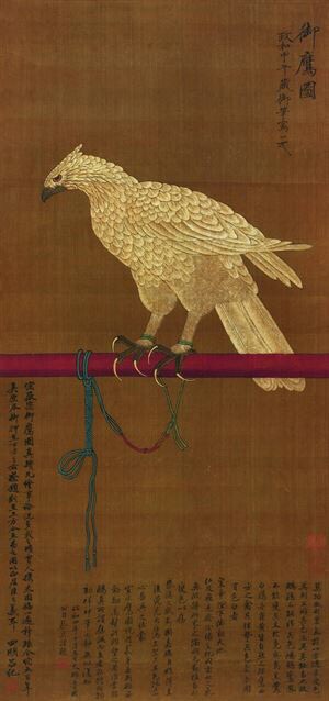 神态活泼画面绚丽