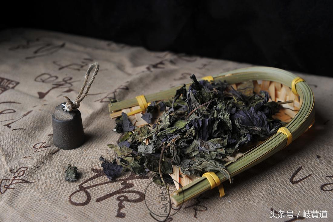 1种常见的紫色植被，竟是可解鱼蟹中毒中药