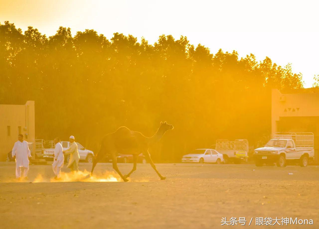 阿布扎比是一个什么样国家,阿布扎比是个什么样的国家