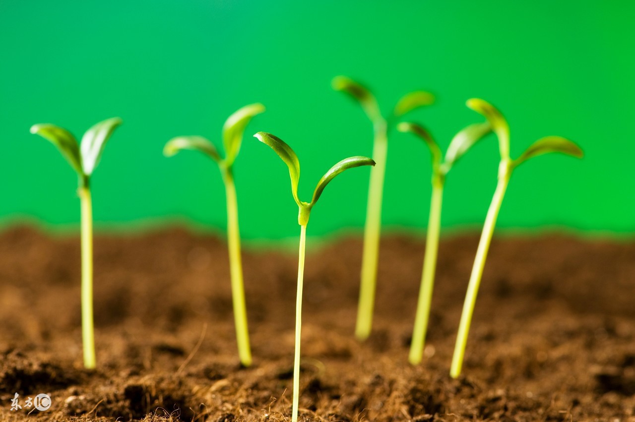 ios微信抢红包插件原理,ios逆向秒杀插件