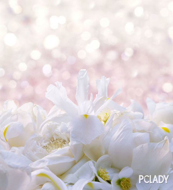 宝格丽omnia系列,宝格丽omnia红水晶