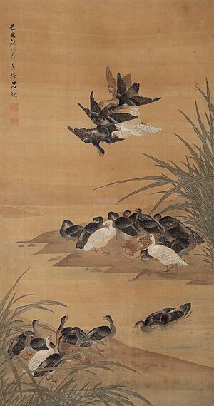 神态活泼画面绚丽