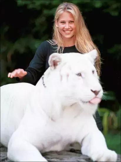 俄罗斯网球美少女库尔尼科娃,网球明星安娜库尔尼娃写真