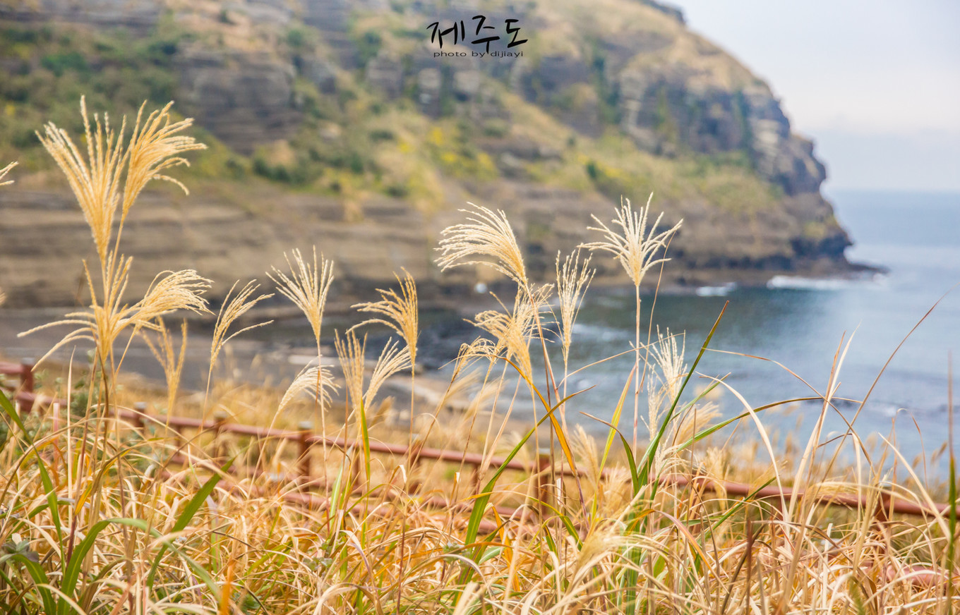 济州岛著名旅游景点,济州岛必游旅游景点推荐