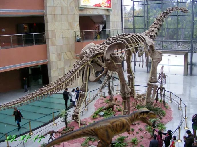 广东散落在民间的宝藏传说,广东省宝藏收藏